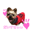 ここあちゃんでーす（個別スタンプ：10）