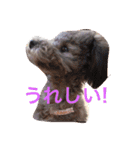 アクアちゃん（個別スタンプ：3）