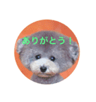 アクアちゃん（個別スタンプ：5）