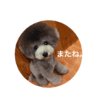 アクアちゃん（個別スタンプ：8）