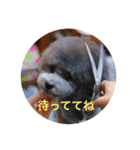 アクアちゃん（個別スタンプ：9）