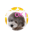アクアちゃん（個別スタンプ：10）