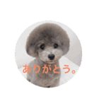 アクアちゃん（個別スタンプ：11）