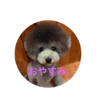 アクアちゃん（個別スタンプ：14）