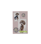 アクアちゃん（個別スタンプ：15）
