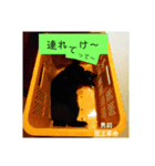 龍王革命（個別スタンプ：2）