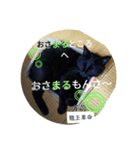 龍王革命（個別スタンプ：7）