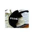 龍王革命（個別スタンプ：8）