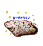 かんちゃんスタンプです。（個別スタンプ：32）