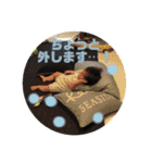 かんちゃんスタンプです。（個別スタンプ：40）