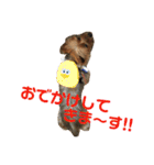 ほのぼのアクア（個別スタンプ：11）