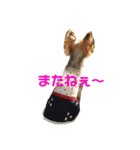 ほのぼのアクア（個別スタンプ：12）