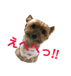 ほのぼのアクア（個別スタンプ：14）