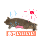 柴犬りたん（個別スタンプ：14）