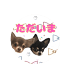 ちょこあみるく2（個別スタンプ：2）