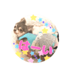 ちょこあみるく2（個別スタンプ：7）