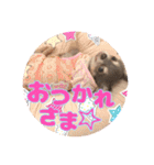 ちょこあみるく2（個別スタンプ：9）