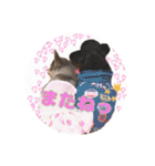 ちょこあみるく2（個別スタンプ：10）