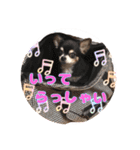 ちょこあみるく2（個別スタンプ：14）