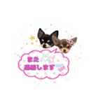 ちょこあみるく2（個別スタンプ：21）