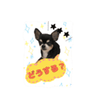 ちょこあみるく2（個別スタンプ：24）