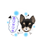 ちょこあみるく2（個別スタンプ：25）