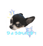 ちょこあみるく2（個別スタンプ：31）