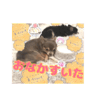 ちょこあみるく2（個別スタンプ：38）