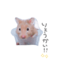 はむはむず！（個別スタンプ：6）