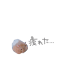 はむはむず！（個別スタンプ：10）