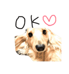 ゆきの日常6（個別スタンプ：1）