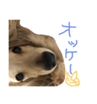 ゆきの日常6（個別スタンプ：2）