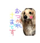 ゆきの日常6（個別スタンプ：3）