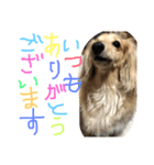 ゆきの日常6（個別スタンプ：4）