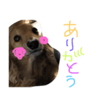 ゆきの日常6（個別スタンプ：5）