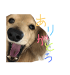 ゆきの日常6（個別スタンプ：6）
