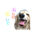ゆきの日常6（個別スタンプ：7）