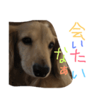 ゆきの日常6（個別スタンプ：9）
