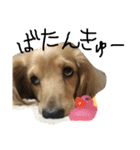 ゆきの日常6（個別スタンプ：10）