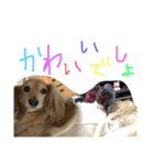 ゆきの日常6（個別スタンプ：11）