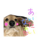 ゆきの日常6（個別スタンプ：14）