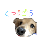 ゆきの日常6（個別スタンプ：16）