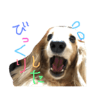 ゆきの日常6（個別スタンプ：17）