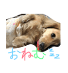 ゆきの日常6（個別スタンプ：18）