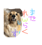 ゆきの日常6（個別スタンプ：19）