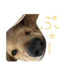 ゆきの日常6（個別スタンプ：22）