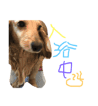 ゆきの日常6（個別スタンプ：23）
