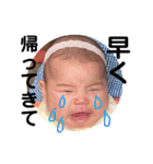 彩心❷（個別スタンプ：12）