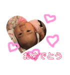 彩心❷（個別スタンプ：25）