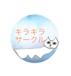 法コンにゃんこスタンプ（個別スタンプ：24）